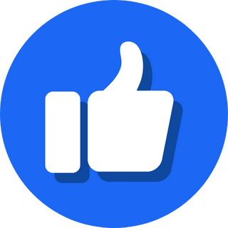 Icone Facebook